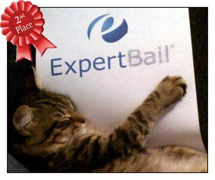 ExpertBail Super Pet