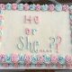 gender reveal