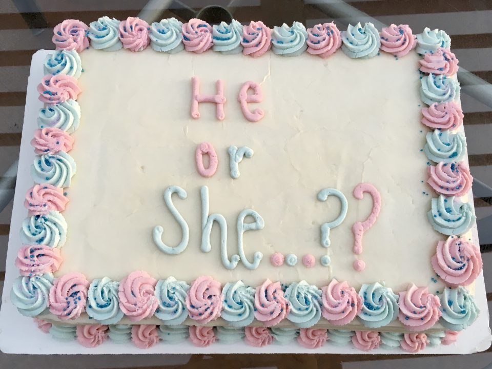 gender reveal